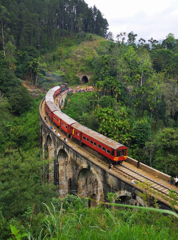 mariana-proenca-5o3ODxRQCfI-unsplash