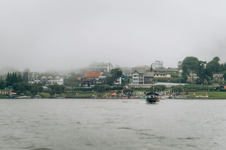 pexels-eslames1-32379769