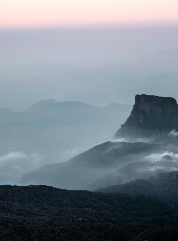 pexels-kavindra-yasas-175608-11736953