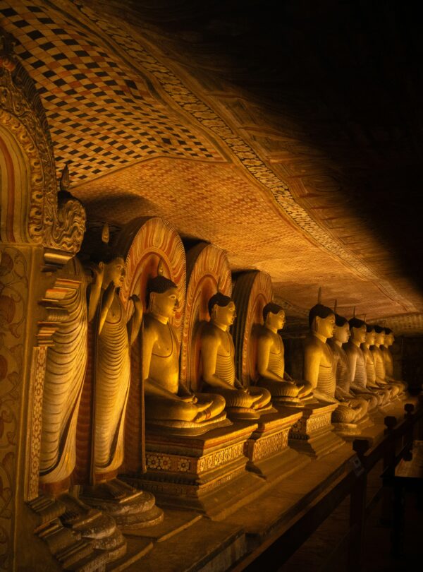 vedanth-ravi-QxaWoVgvi4I-unsplash